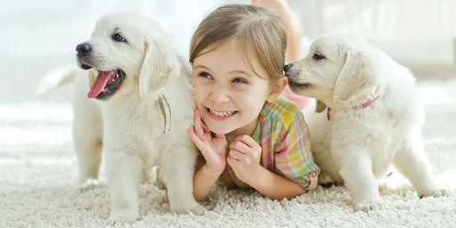 A little girl playing with her two puppies, all lying down on a white carpet that is free from a carpet moth infestation