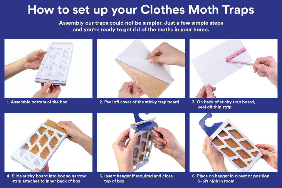 How to set up Moth Prevention clothes moth traps