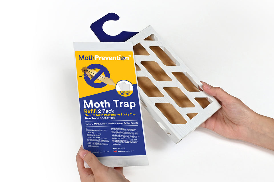 MothPrevention Clothes and Carpet Moth Traps and refill