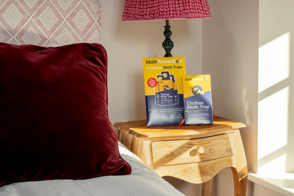 MothPrevention Moth Traps place on a bedside table