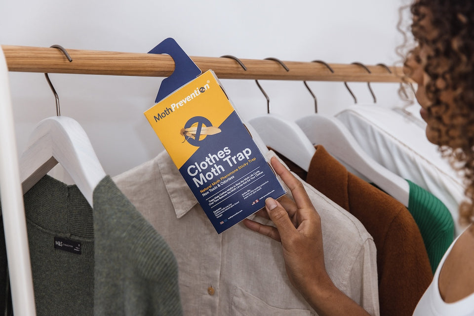 a MothPrevention Moth Trap hanging on a rail of clothing to catch adult male Clothes Moths