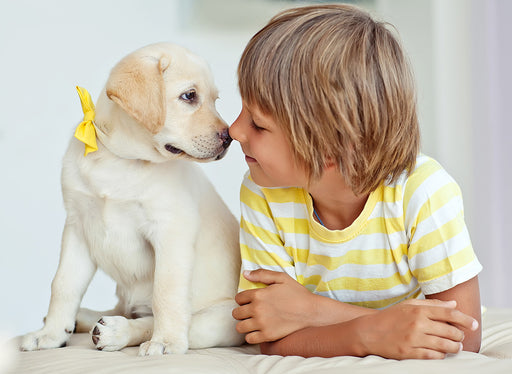 a young boy and a labrador puppy next to each other, nose to nose