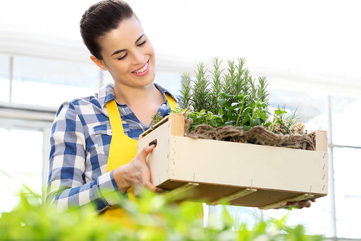 a woman carrying a box of fresh herbs
