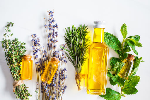 a selection of lavender, thyme, rosemary and mint with essential oils