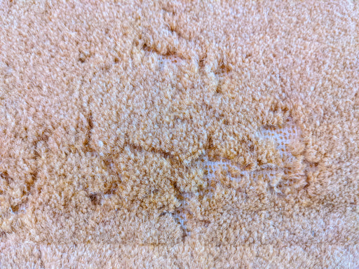 a section of wool carpet that has been eaten by Moth Larvae