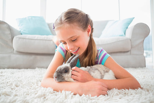 a young girl cuddling her rabbit