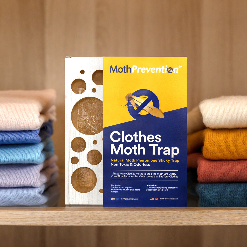 Natural Clothes Moth Trap placed in a closet