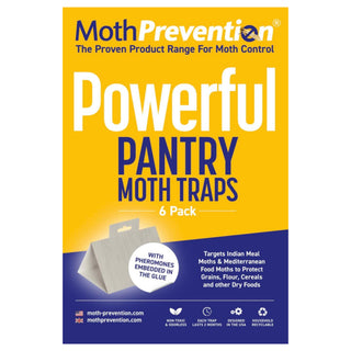 Powerful Pantry Moth Traps - 6 Pack