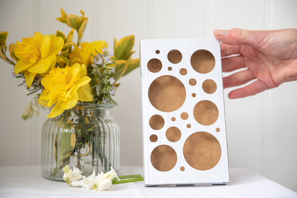 Moth Hatching Season When Are Moths Active