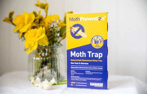 a MothPrevention Moth Trap