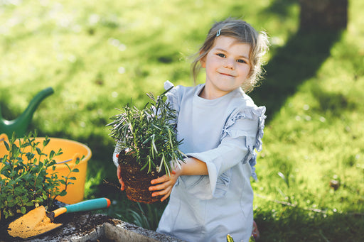 a little girl holding a rosemary plant