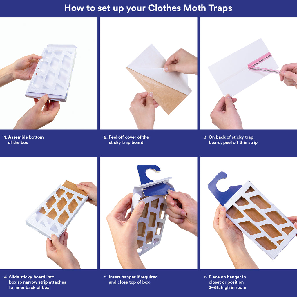 How to set up your Clothes Moth Traps by Moth Prevention