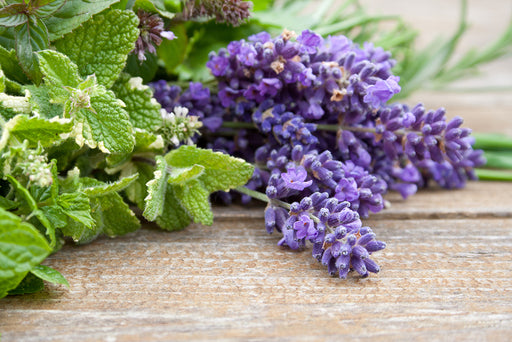 fresh lavender and mint