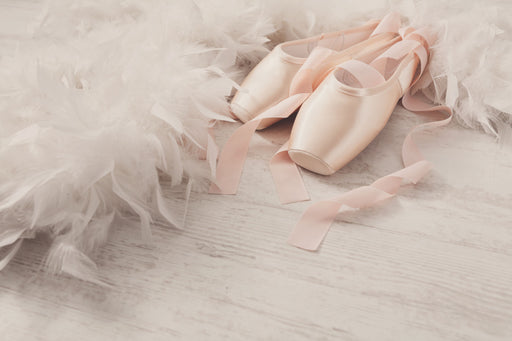 ballet pointe shoes