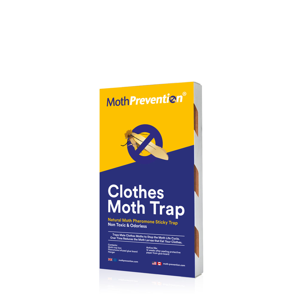 Natural Moth Pheromone Sticky Trap without hanger for Clothes and Carpets by Moth Prevention