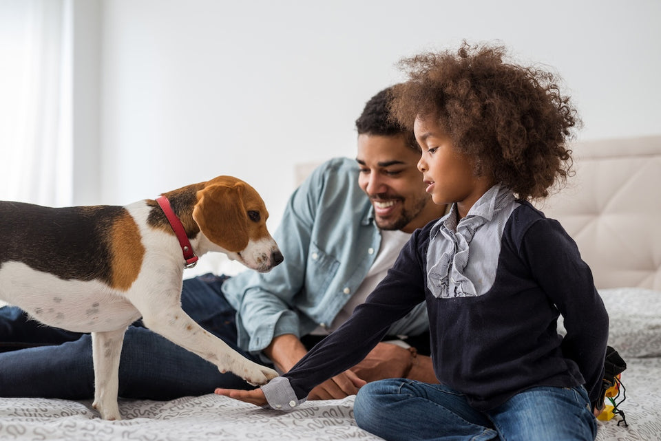 a parent and child with their pet Beagle