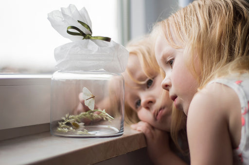 two girls looking at a moth caught in a jar in their home