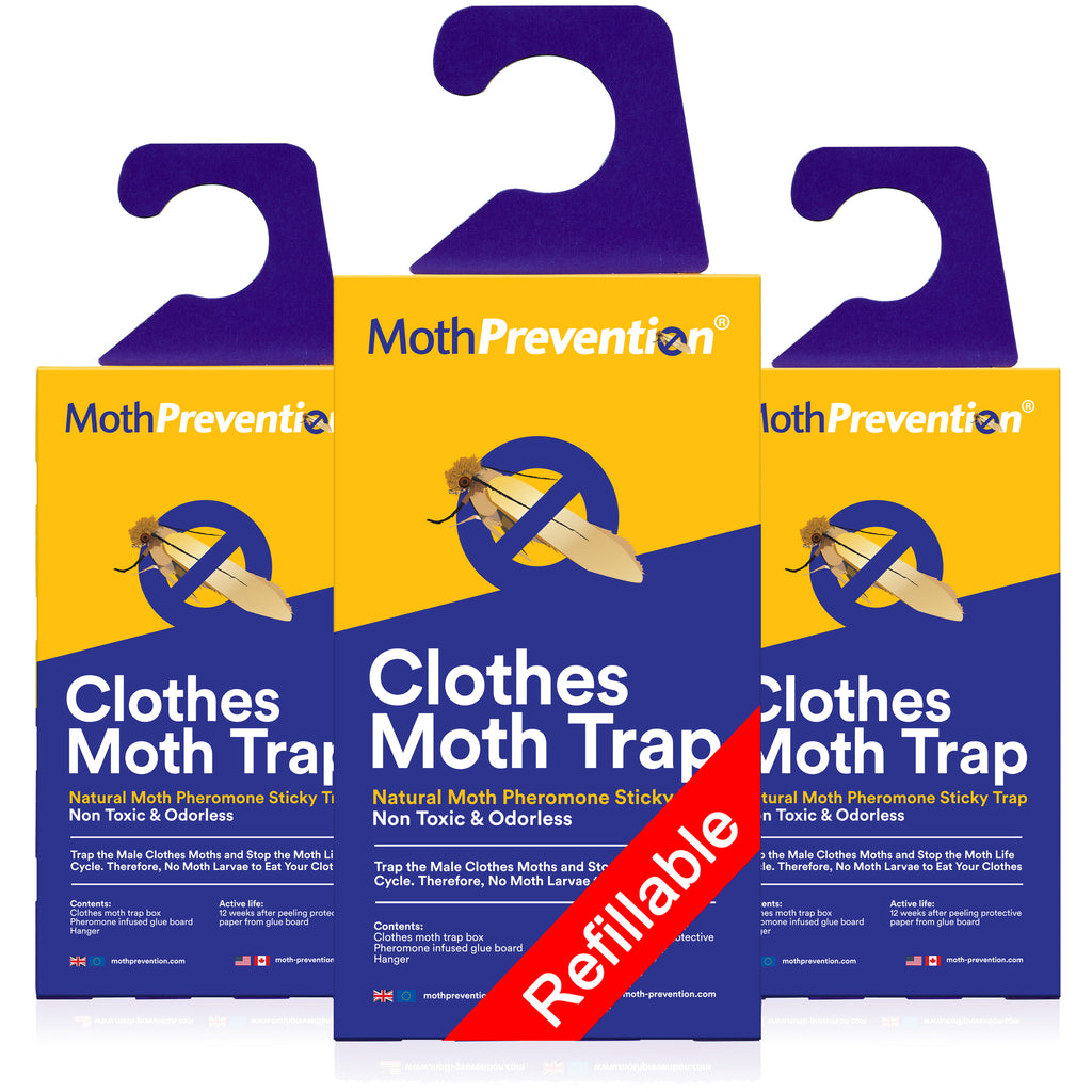 Powerful Clothes Moth Traps for Wardrobes by MothPrevention UK