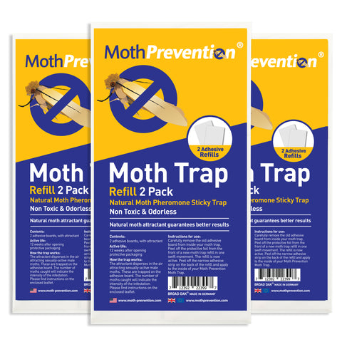 Powerful Clothes Moth and Carpet Moth Trap Refills  6 Pack