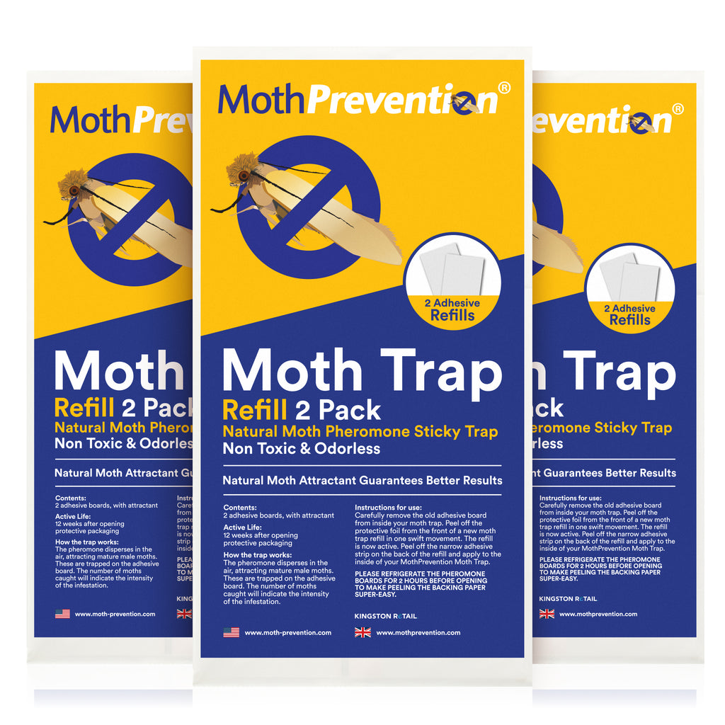 Clothes Moth Pheromone Trap