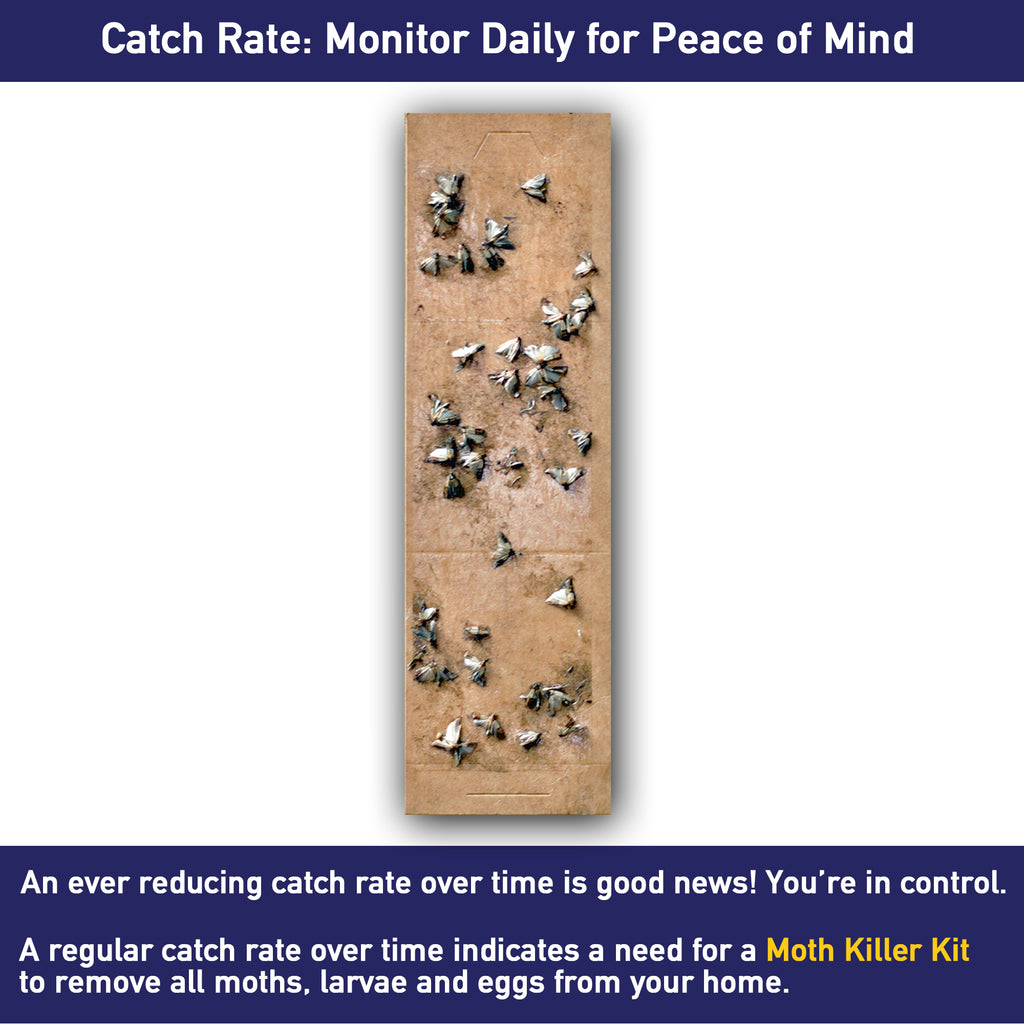 Pantry Moth Traps by Moth Prevention