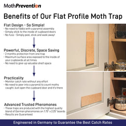 Benefits of Pantry Moth Traps